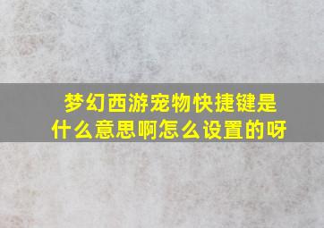 梦幻西游宠物快捷键是什么意思啊怎么设置的呀