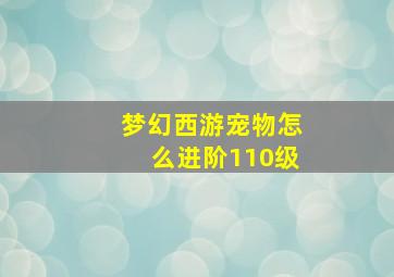 梦幻西游宠物怎么进阶110级