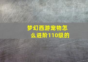 梦幻西游宠物怎么进阶110级的