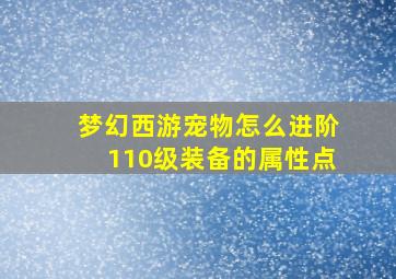 梦幻西游宠物怎么进阶110级装备的属性点