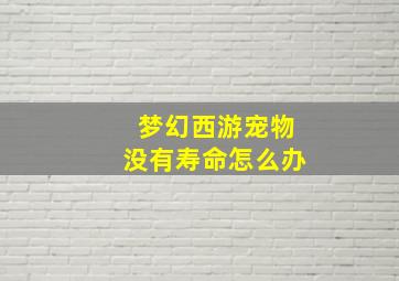 梦幻西游宠物没有寿命怎么办