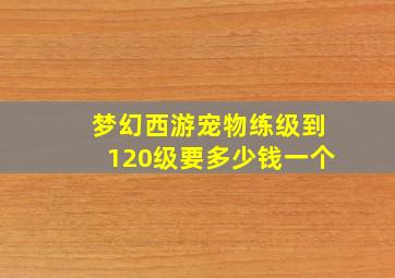 梦幻西游宠物练级到120级要多少钱一个