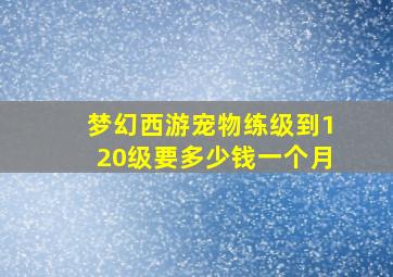 梦幻西游宠物练级到120级要多少钱一个月