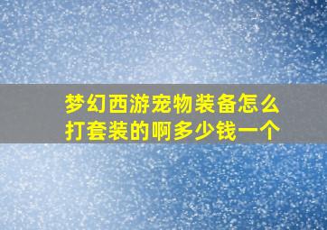 梦幻西游宠物装备怎么打套装的啊多少钱一个