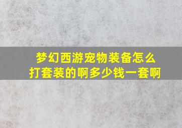 梦幻西游宠物装备怎么打套装的啊多少钱一套啊