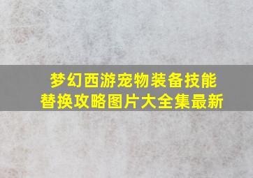 梦幻西游宠物装备技能替换攻略图片大全集最新