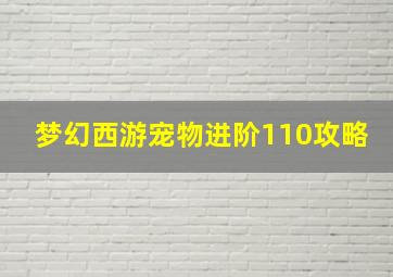 梦幻西游宠物进阶110攻略