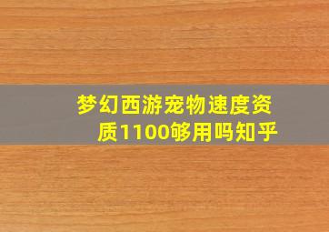 梦幻西游宠物速度资质1100够用吗知乎