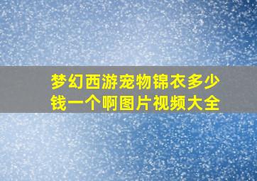 梦幻西游宠物锦衣多少钱一个啊图片视频大全