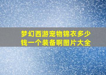 梦幻西游宠物锦衣多少钱一个装备啊图片大全