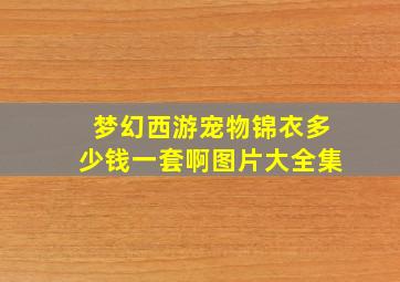 梦幻西游宠物锦衣多少钱一套啊图片大全集