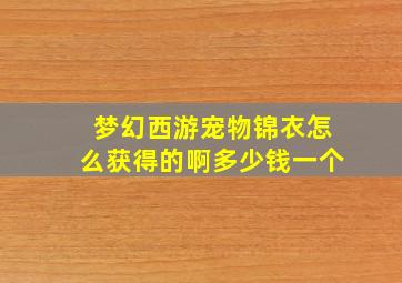 梦幻西游宠物锦衣怎么获得的啊多少钱一个