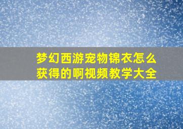 梦幻西游宠物锦衣怎么获得的啊视频教学大全