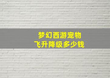 梦幻西游宠物飞升降级多少钱