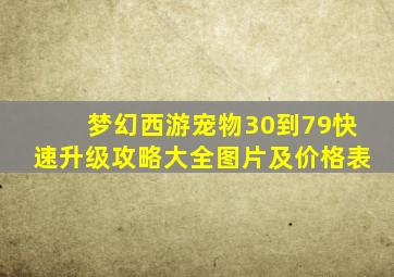 梦幻西游宠物30到79快速升级攻略大全图片及价格表