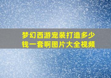 梦幻西游宠装打造多少钱一套啊图片大全视频