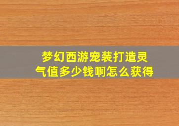 梦幻西游宠装打造灵气值多少钱啊怎么获得