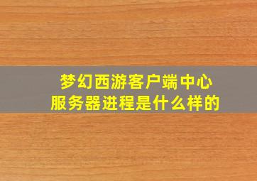 梦幻西游客户端中心服务器进程是什么样的