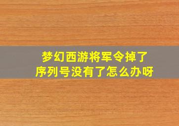 梦幻西游将军令掉了序列号没有了怎么办呀