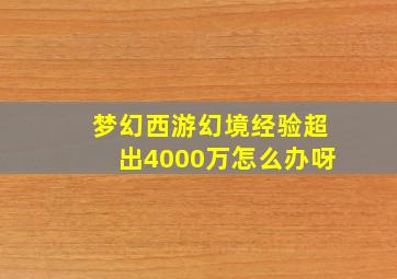 梦幻西游幻境经验超出4000万怎么办呀