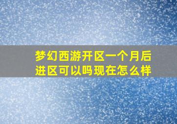 梦幻西游开区一个月后进区可以吗现在怎么样