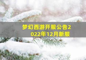 梦幻西游开服公告2022年12月新服