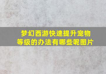 梦幻西游快速提升宠物等级的办法有哪些呢图片