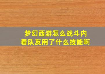 梦幻西游怎么战斗内看队友用了什么技能啊