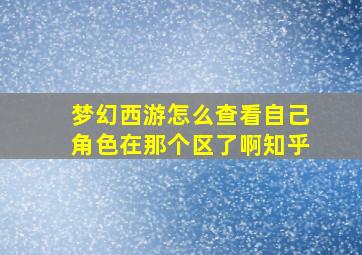 梦幻西游怎么查看自己角色在那个区了啊知乎