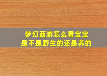 梦幻西游怎么看宝宝是不是野生的还是养的