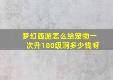 梦幻西游怎么给宠物一次升180级啊多少钱呀