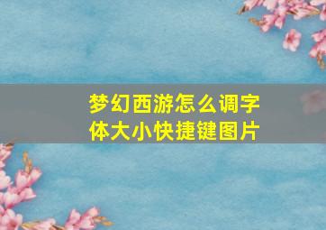 梦幻西游怎么调字体大小快捷键图片