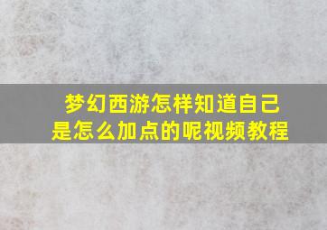 梦幻西游怎样知道自己是怎么加点的呢视频教程