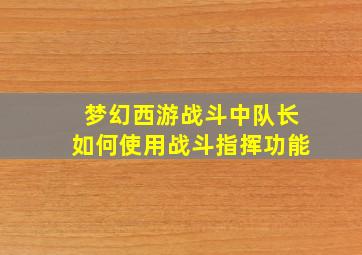 梦幻西游战斗中队长如何使用战斗指挥功能