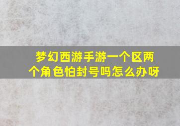 梦幻西游手游一个区两个角色怕封号吗怎么办呀