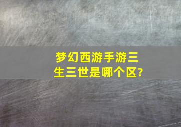 梦幻西游手游三生三世是哪个区?