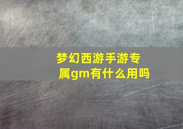 梦幻西游手游专属gm有什么用吗