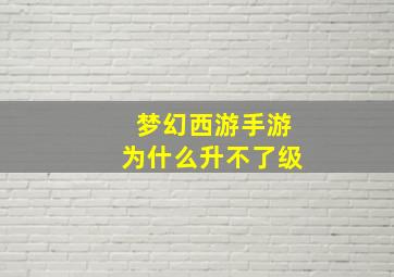 梦幻西游手游为什么升不了级