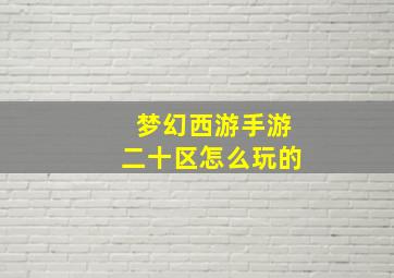 梦幻西游手游二十区怎么玩的