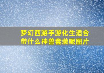 梦幻西游手游化生适合带什么神兽套装呢图片