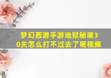 梦幻西游手游地狱秘境30关怎么打不过去了呢视频