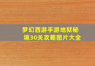 梦幻西游手游地狱秘境30关攻略图片大全