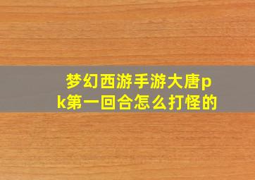 梦幻西游手游大唐pk第一回合怎么打怪的