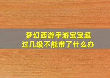 梦幻西游手游宝宝超过几级不能带了什么办