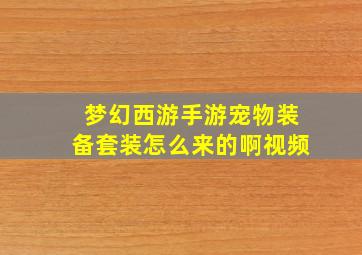 梦幻西游手游宠物装备套装怎么来的啊视频