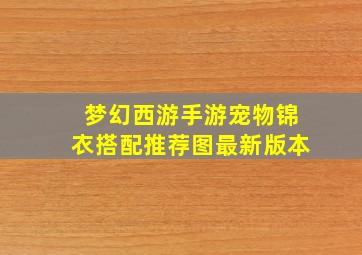 梦幻西游手游宠物锦衣搭配推荐图最新版本