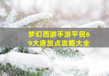 梦幻西游手游平民69大唐加点攻略大全