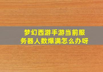 梦幻西游手游当前服务器人数爆满怎么办呀