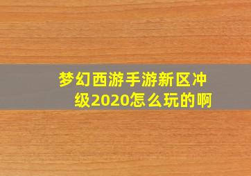 梦幻西游手游新区冲级2020怎么玩的啊