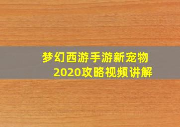 梦幻西游手游新宠物2020攻略视频讲解